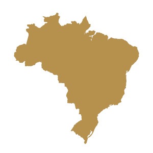 Gold Map of Brazil