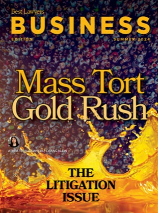 Cover for our Business Edition 2024: The Litigation Issue publication